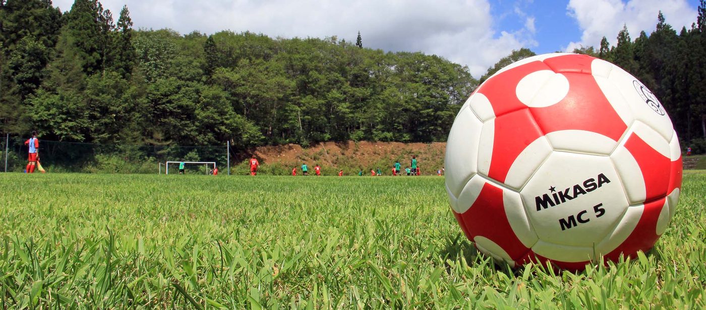 天然芝の上のサッカーボール